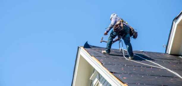 Best Gutter Installation and Roofing  in Crozet, VA